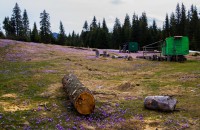 /album/emberek-vilaga/img-4950-masolas-jpg/